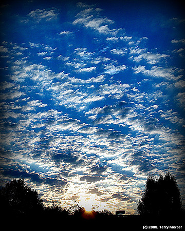 Natural Cotton Balls... missing sunsets shared from my deck in Tennessee...IMG_1123 - cropped & vignette