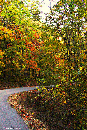 Fall in the Smokies - IMG_2860