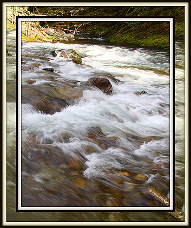 IMG_1044 - Raging Rapids...  River Wild