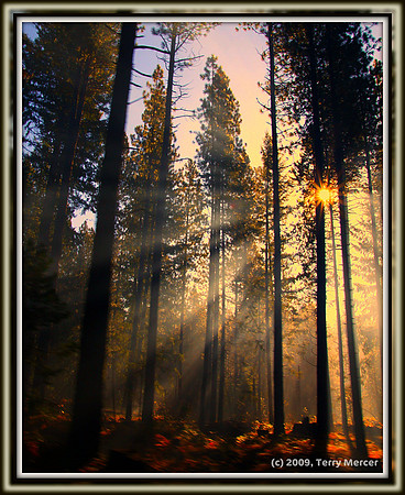 Finger's of Light - IMG_4263