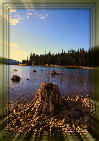 Stumped at Fish Lake - Img_4628