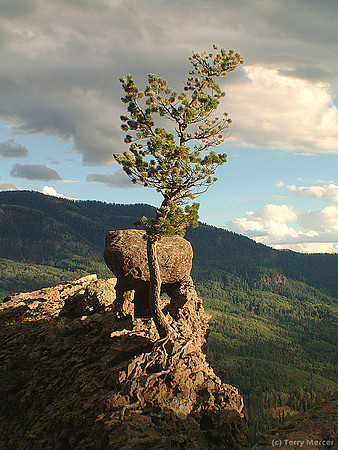 A Loner Doing The Impossible... in the Colorado Mountains