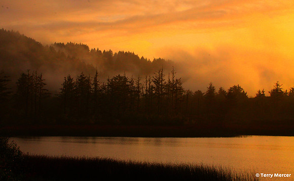 IMG_2816 - Sun Rise in the Bay... Oregon Coast