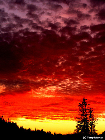 Coastal Dusk - IMG_4135