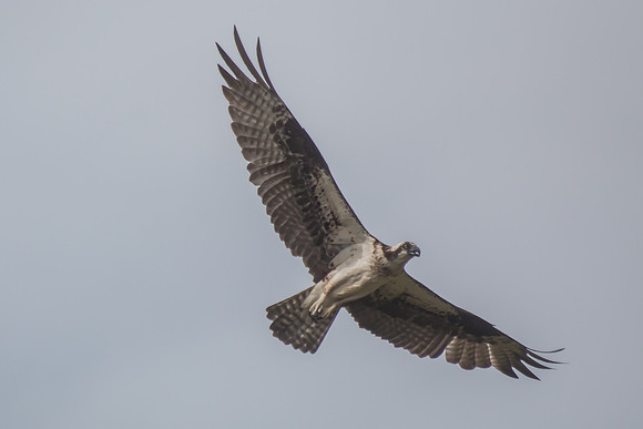 20160501-IMG_0044