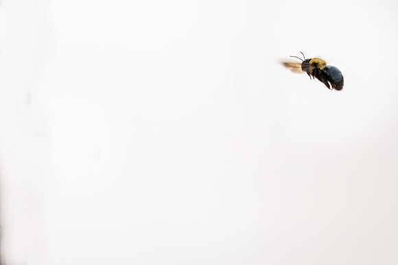 20160419-IMG_0578