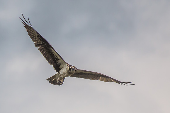 20160501-IMG_0103
