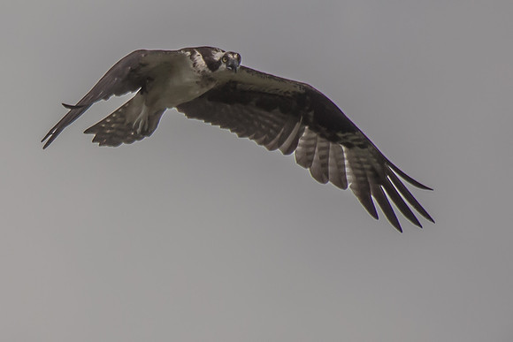 20160501-IMG_0105