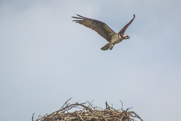 20160501-IMG_0113