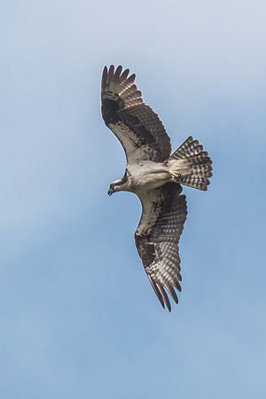 20160501-IMG_0135