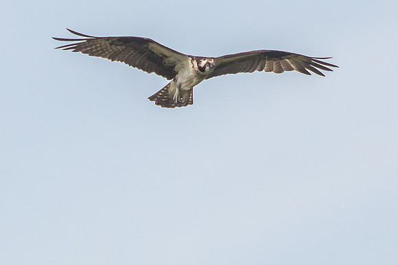 20160501-IMG_0130