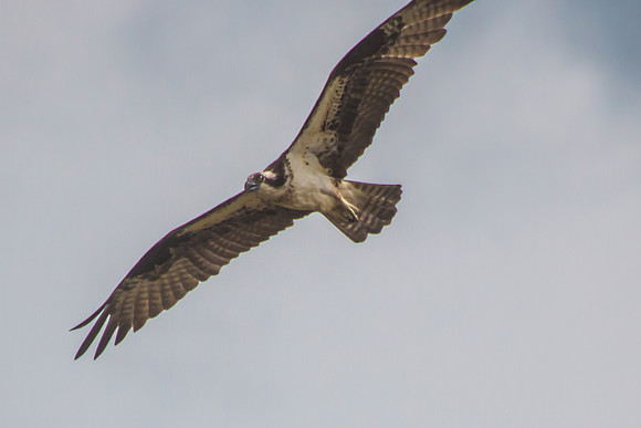 20160501-IMG_0096