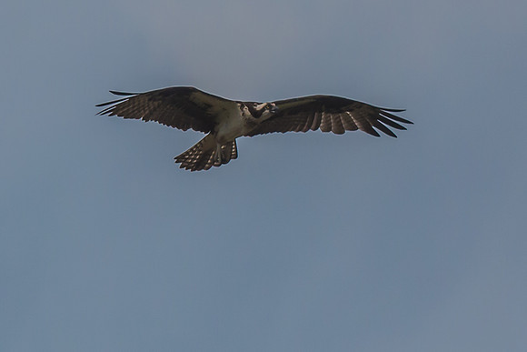 20160501-IMG_0161