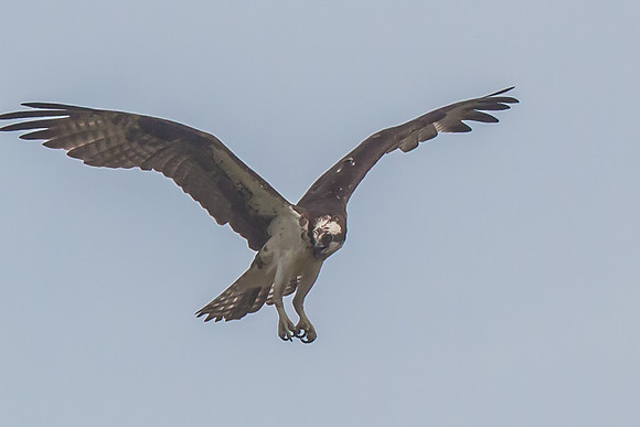 20160501-IMG_0168