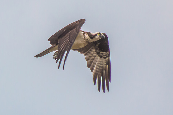 20160501-IMG_0119