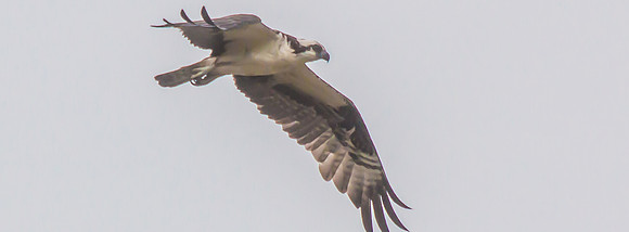 20160501-IMG_0251-2