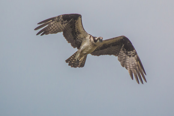 20160501-IMG_0115