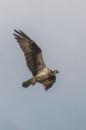20160501-IMG_0138