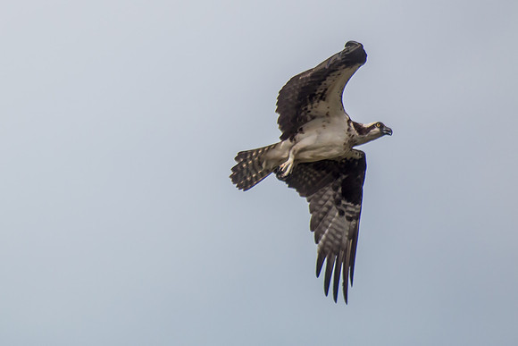 20160501-IMG_0047