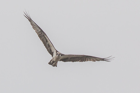 20160501-IMG_0247