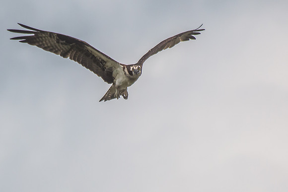20160501-IMG_0102