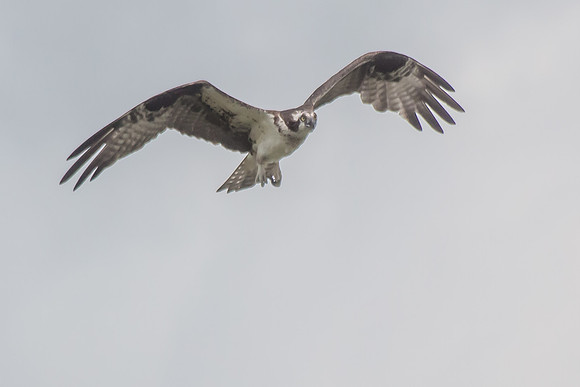20160501-IMG_0101