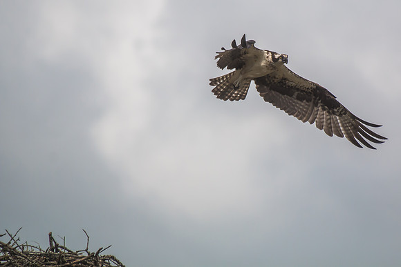 20160501-IMG_0083