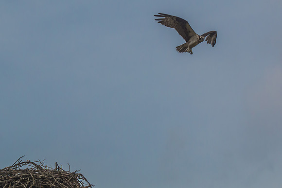 20160501-IMG_0164