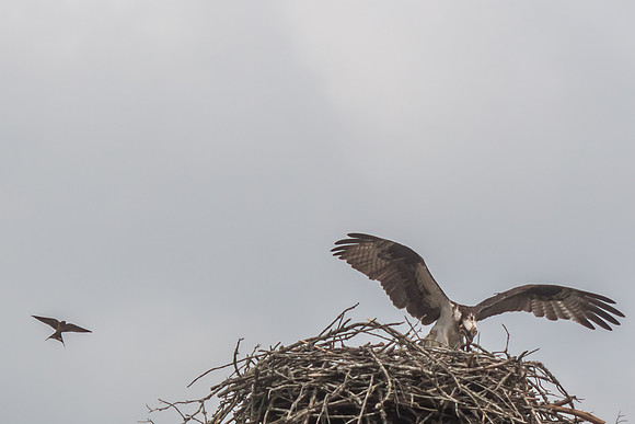 20160501-IMG_0147