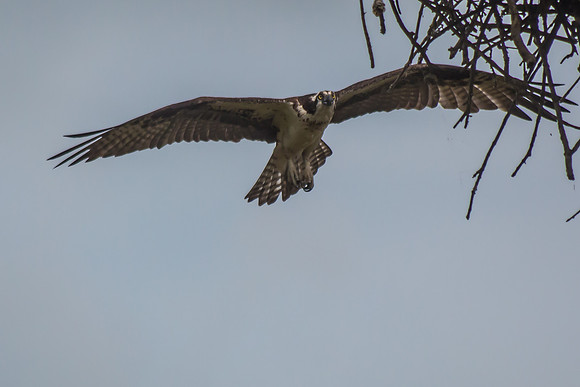 20160501-IMG_0067