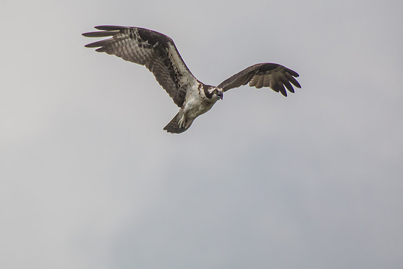 20160501-IMG_0112