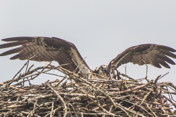 20160501-IMG_0072