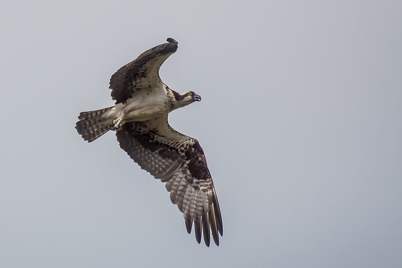 20160501-IMG_0046
