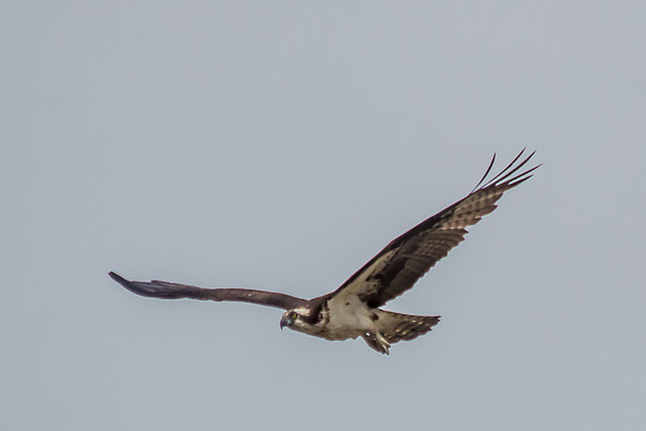 20160501-IMG_0034