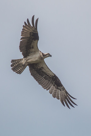 20160501-IMG_0045
