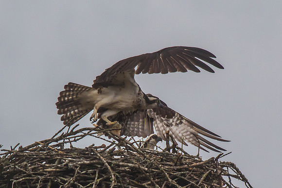 20160501-IMG_0171