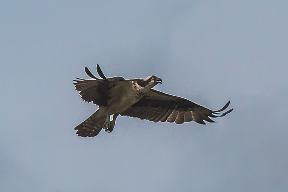 20160501-IMG_0136