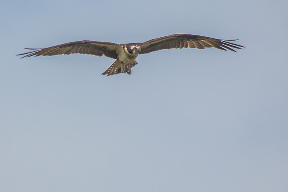 20160501-IMG_0056
