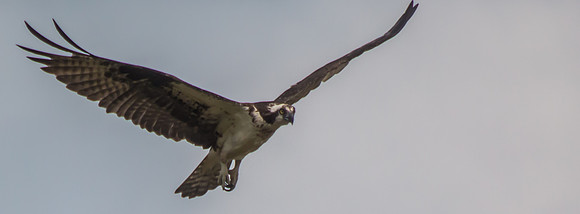 20160501-IMG_0114-2