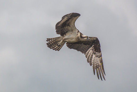 20160501-IMG_0084