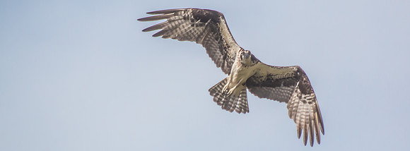 20160501-IMG_0042-2