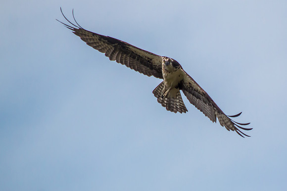 20160501-IMG_0041