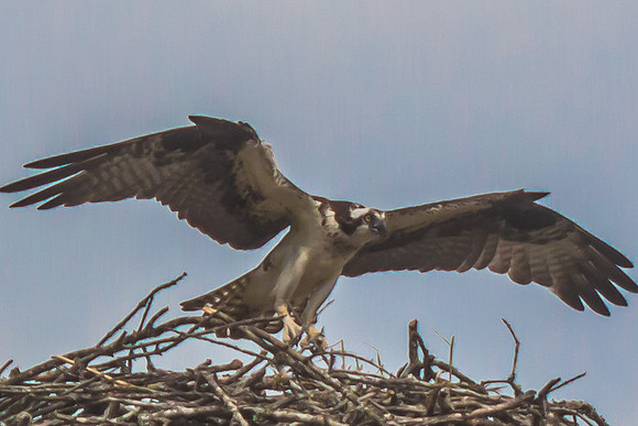 20160501-IMG_0146
