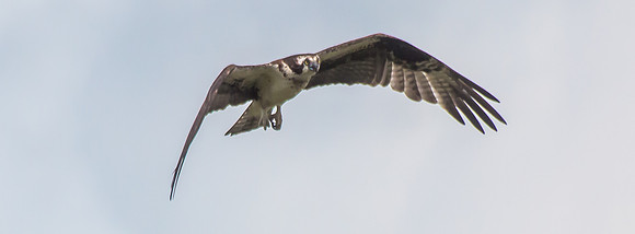 20160501-IMG_0100