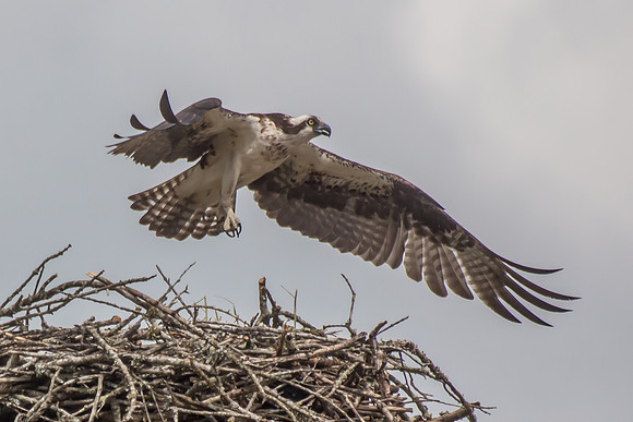 20160501-IMG_0079