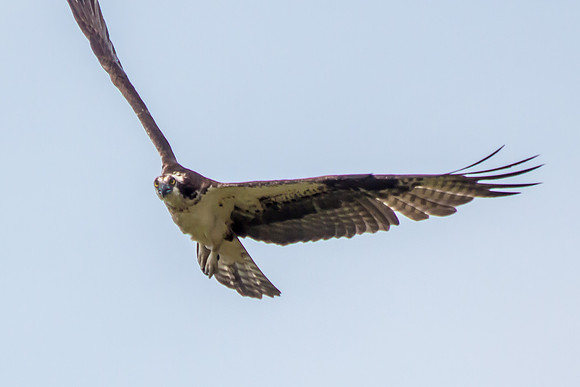 20160501-IMG_0040