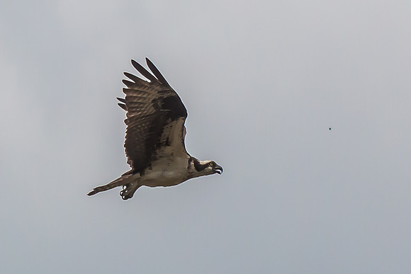 20160501-IMG_0139