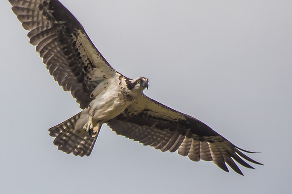 20160501-IMG_0058