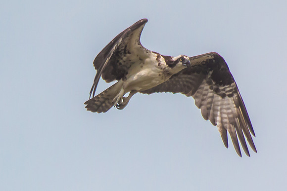 20160501-IMG_0108