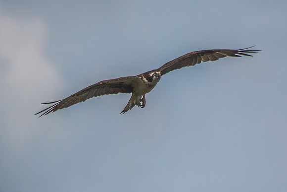 20160501-IMG_0066